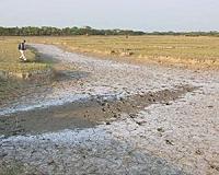 Mineral misery: Vietnam salt farmers battered by imports, climate