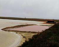 Candy-Pink lagoon serves up salt-rich diet for potential life on Mars