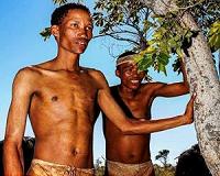 Fish accounted for surprisingly large part of the Stone Age diet
