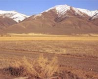 Climate Change Caused Widespread Tree Death In California Mountain Range