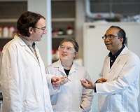 Researchers generate electricity from low-cost biomaterial