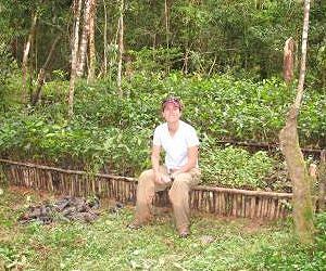 Can nature parks save biodiversity?