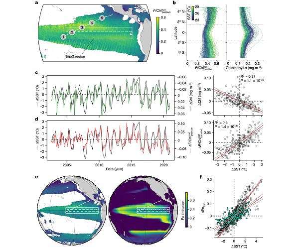 Satellite data offers new insights into phytoplankton
