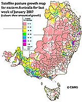 New Management Tool For East Australian Graziers
