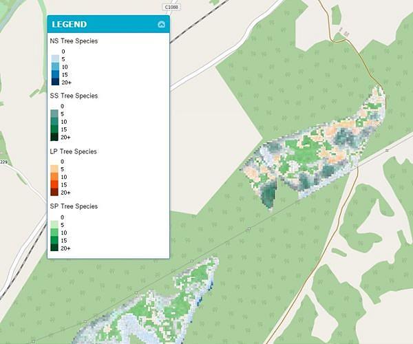 EcoMatcher brings tree planting to Microsoft Teams