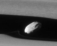 Cassini captures stunning view of Saturn moon Daphnis