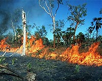 Traditional Indigenous Fire Management Techniques Deployed
