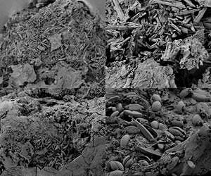 Plastic waste is a hazard for subalpine lakes too