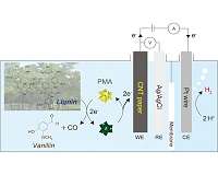 A novel biofuel system for hydrogen production from biomass
