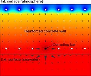 'Macrocells' influence corrosion rate of submerged marine concrete structures