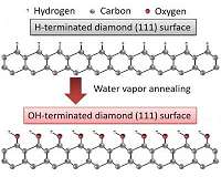 Water vapor annealing technique on diamond surfaces for next-generation power devices