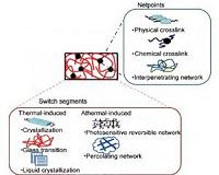 Biomedical applications of shape-memory polymers: How practically useful are they?