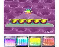 Nanobowl arrays endow perovskite solar cells with iridescent colors