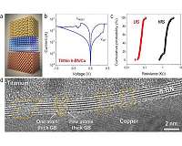 Hexagonal boron nitride enables the fabrication of 2-dimensional electronic memories