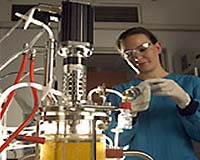 CSIRO Unveils A New Class Of Fatty Acids