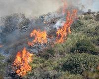 Cyprus 'optimistic' on containing deadly wildfire