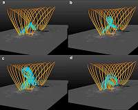 NASA's SDO reveals how magnetic cage on the Sun stopped solar eruption