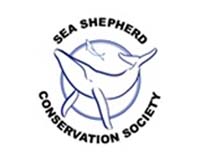 Sea Shepherd in epic chase of Antarctic 'poaching' ship