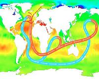 Salinity matters
