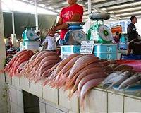 EU slaps seafood trade ban on Belize, Cambodia, Guinea