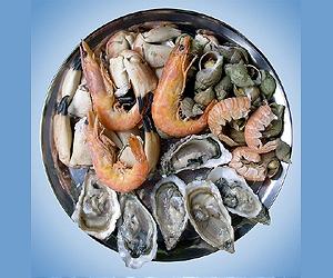 Aquaculture Feeding World's Insatiable Appetite for Seafood