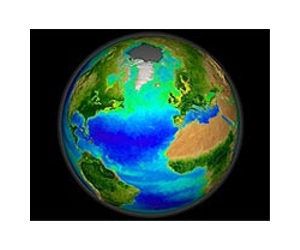 Satellites, DNA And Dolphins