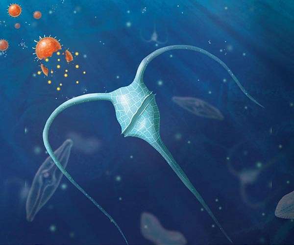 Fertilizing the ocean to store carbon dioxide