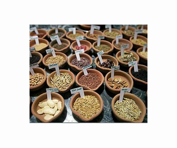 Hong Kong team plants seeds to safeguard legacy grains