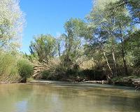 New Research: Streamside forests store tons of carbon