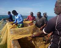 Code of conduct needed for ocean conservation, study says