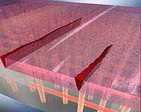 Self-Healing Materials Can Mimic Human Skin Healing Again And Again