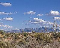 New model for evaluating rangeland systems launches