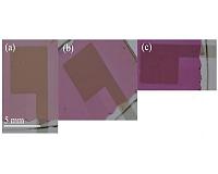 Researchers devise new tool to measure polarization of light