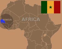 Senegal forest massacre: what we know