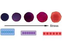New revolutionary sensor links pressure to color change