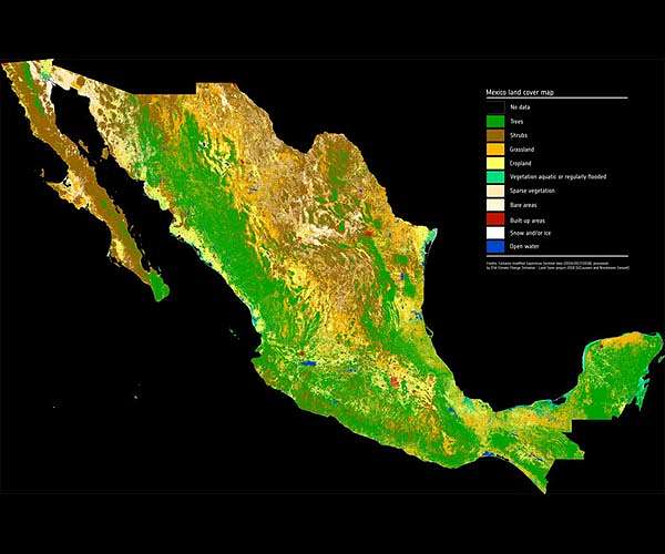 Daughter of missing Mexico environment defender pleads for global help