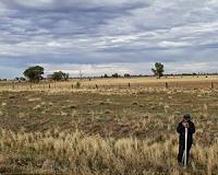 'Climate-smart soils' may help balance the carbon budget