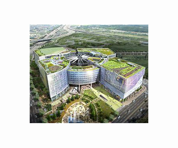 Green shoots: Rooftop farming takes off in Singapore