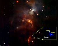 Precise records of baby stars' growth caught at millimeter wavelengths