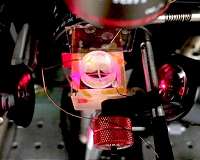 Electrical signaling in heart and nerve cells using graphene