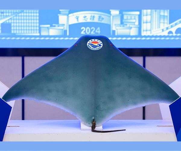 Shanghai Ocean University unveils manta ray-inspired bionic fish