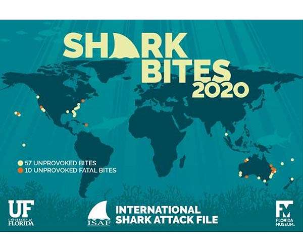 Under a moon spell: Shark attacks related to lunar phases