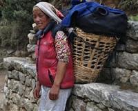 The genetic origins of high-altitude adaptations in Tibetans