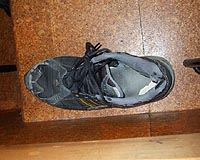 Cambridge student cleared over Chinese PM shoe-throwing