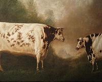 Global art market in rude health