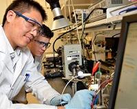 JCAP stabilizes common semiconductors for solar fuels generation