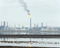 British oil company unfazed by violence gripping Iraq