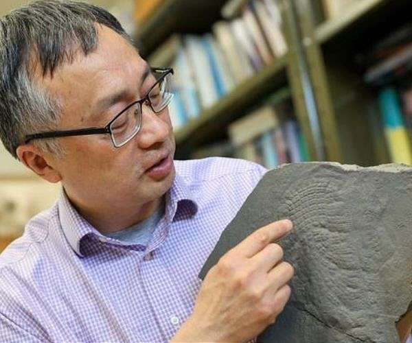 Virginia Tech Team Uncovers Ancient Sea Sponge Fossil