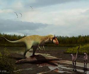 Colossal new predatory dino terrorized early tyrannosaurs