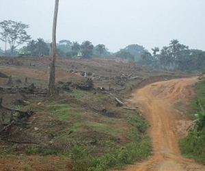 Sierra Leone investigates a mining land acquisition